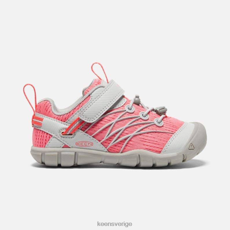 Keen lilla 'chandler cnx LVJV0586 duggregn-dubarry