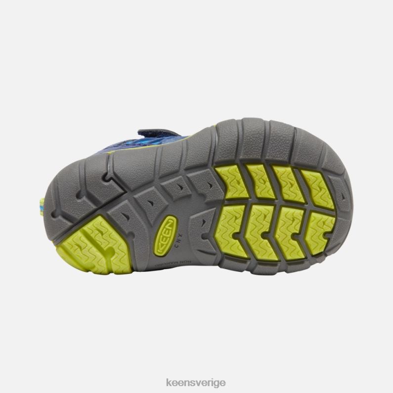 Keen småbarns chandler cnx LVJV0593 lysande blåblått djup