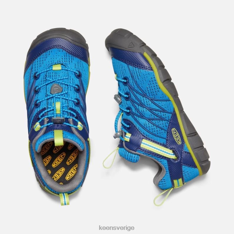 Keen stora 'chandler cnx LVJV0590 lysande blåblått djup