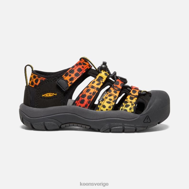 Keen lilla ' newport h2 LVJV0549 cheetah regnbåge