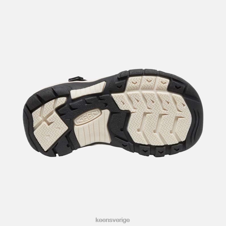 Keen lilla ' newport h2 LVJV0570 atms zebrastjärna