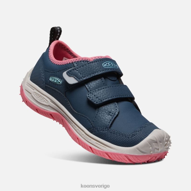 Keen liten farthund LVJV0544 blå vinge krickfruktduva