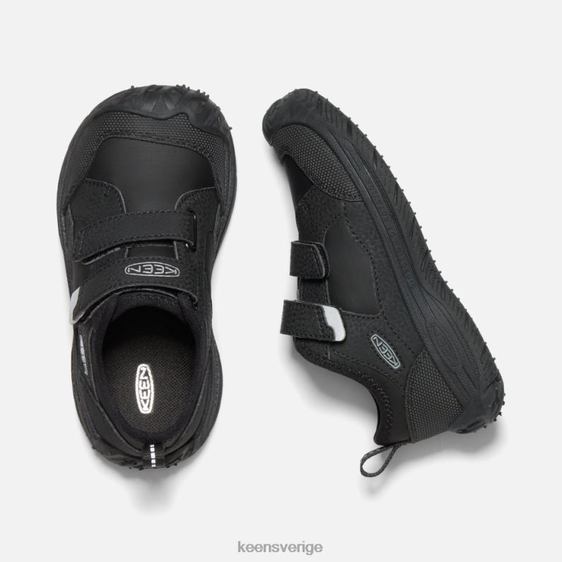 Keen liten farthund LVJV0559 svart silver