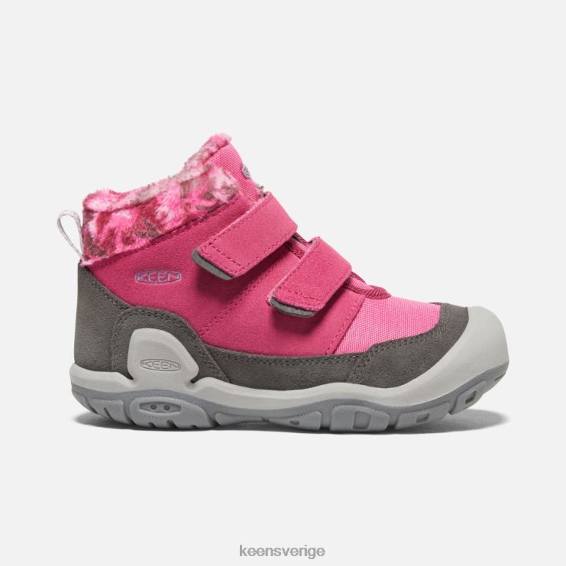 Keen liten 'knotch dubbel rem chukka LVJV0556 frukt duvsvart