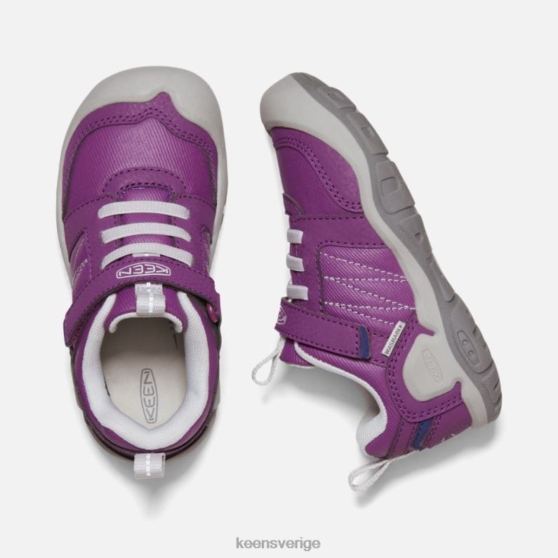 Keen liten 'knotch peak sneaker LVJV0547 karisma-ånga