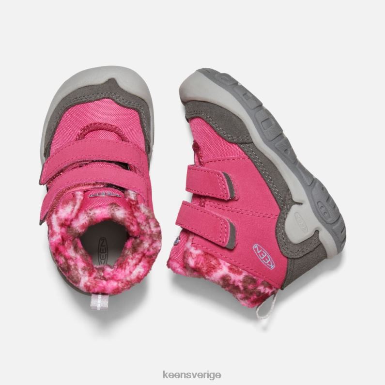 Keen chukka med dubbla remmar för småbarn LVJV0564 frukt duvsvart