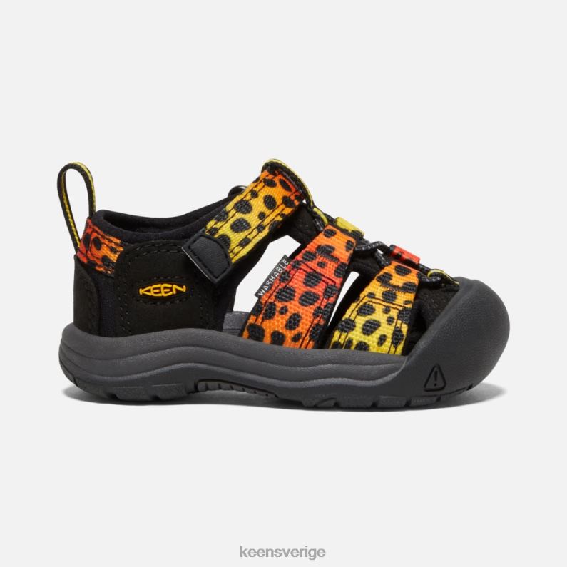 Keen småbarns newport h2 LVJV0581 cheetah regnbåge