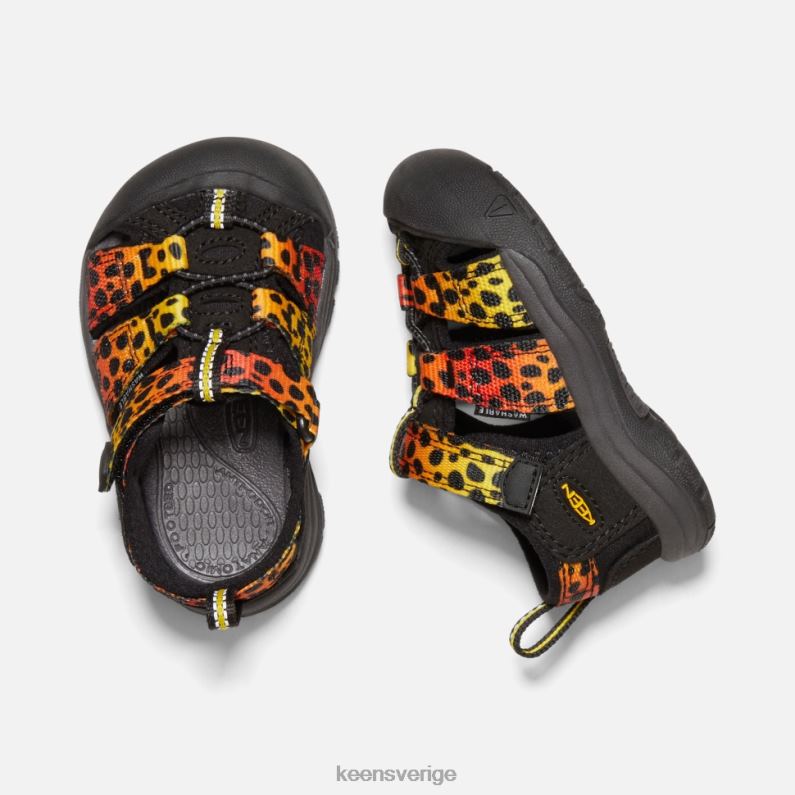 Keen småbarns newport h2 LVJV0581 cheetah regnbåge