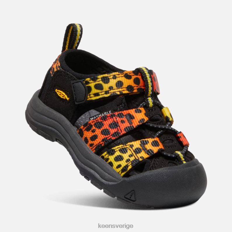 Keen småbarns newport h2 LVJV0581 cheetah regnbåge