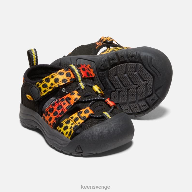 Keen småbarns newport h2 LVJV0581 cheetah regnbåge