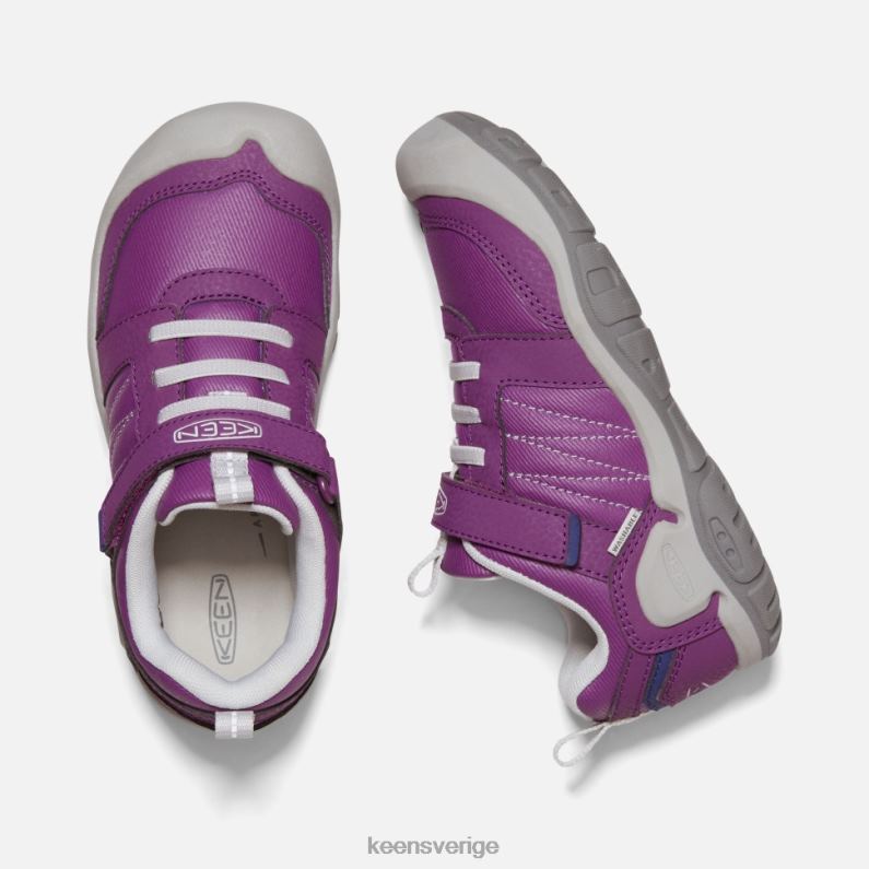 Keen stor knotch peak sneaker LVJV0540 karisma-ånga