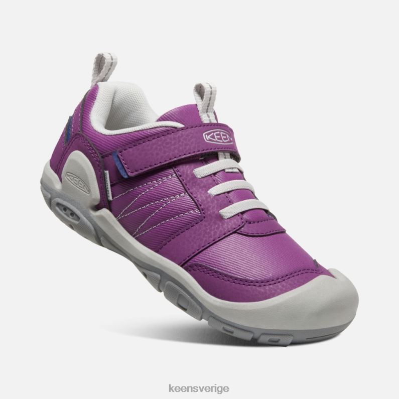 Keen stor knotch peak sneaker LVJV0540 karisma-ånga