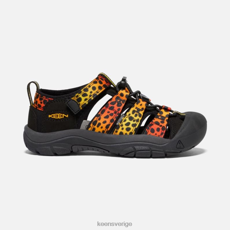 Keen stor ' newport h2 LVJV0550 cheetah regnbåge