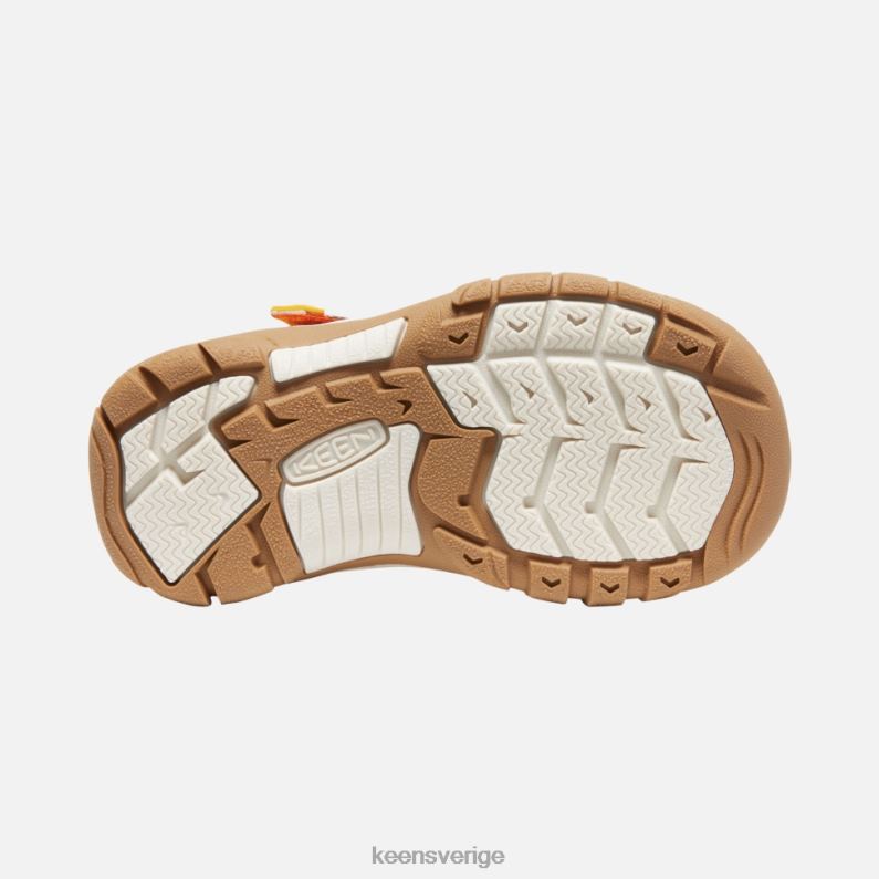 Keen lilla ' newport x utomhus afro LVJV0408 apelsinskal-gul