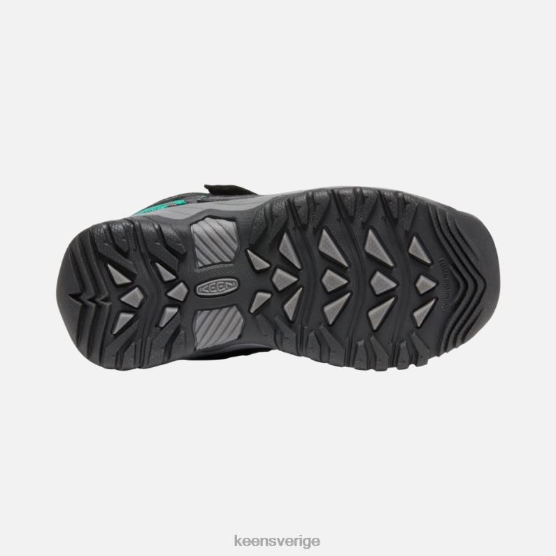 Keen yngre 'targhee vattentäta vandringsskor LVJV0273 svart-stjärna vit