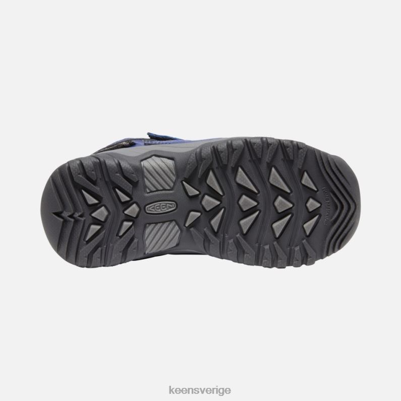 Keen yngre 'targhee vattentäta vandringsskor LVJV0274 blått djup-skogsnatt