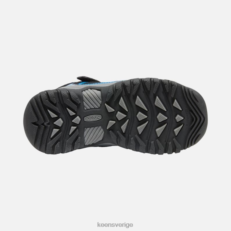 Keen mykonos blå-gula yngre 'targhee sport vent vandringsskor LVJV0282 mykonos blå-ivrig gul