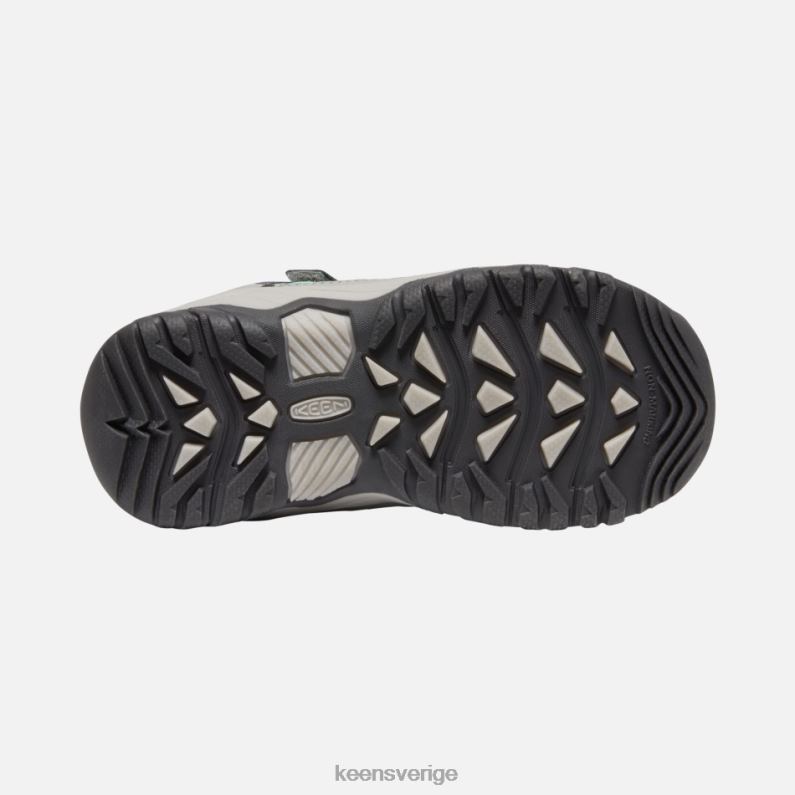 Keen yngre 'targhee sport vent vandringsskor LVJV0281 vattenfall-ånga