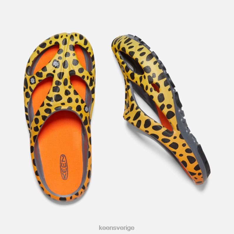 Keen shanti konst LVJV0340 thc cheetah regnbåge