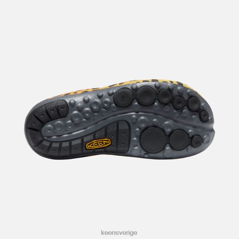 Keen shanti konst LVJV0340 thc cheetah regnbåge