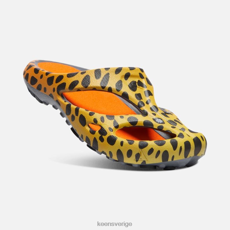 Keen shanti konst LVJV0340 thc cheetah regnbåge