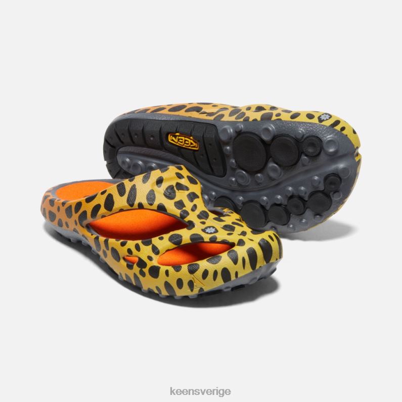 Keen shanti konst LVJV0340 thc cheetah regnbåge