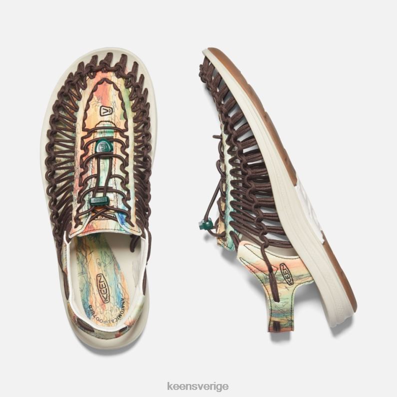 Keen uneek x garcia LVJV0107 banyanträd