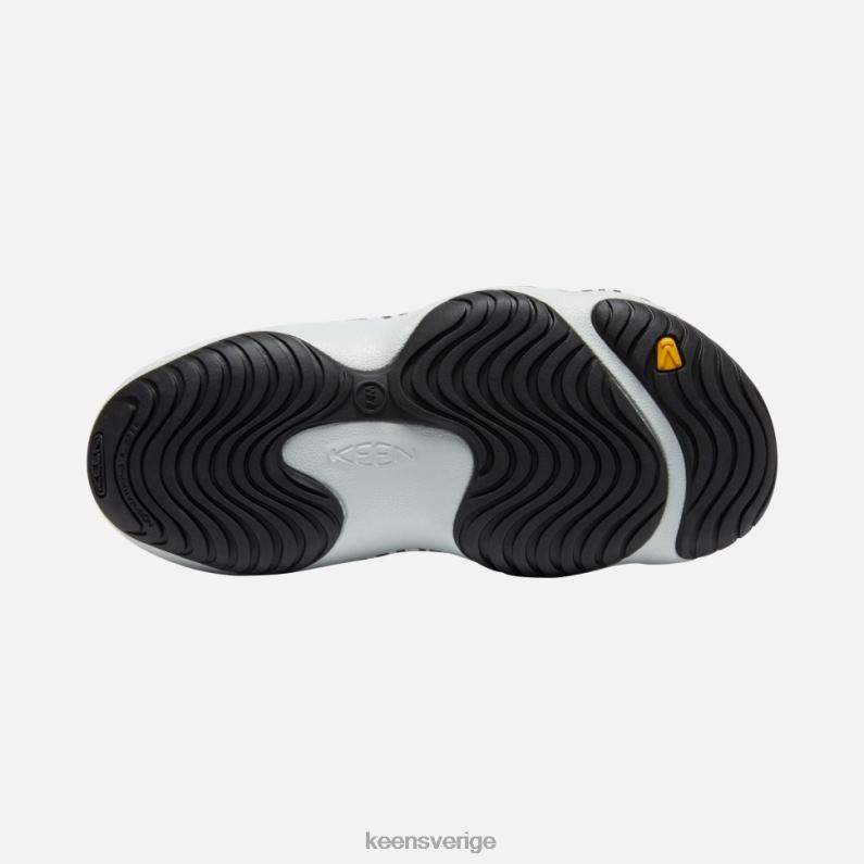 Keen yogakonst LVJV0358 atms zebrastjärna