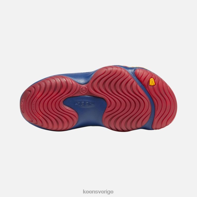 Keen yogakonst LVJV095 mång