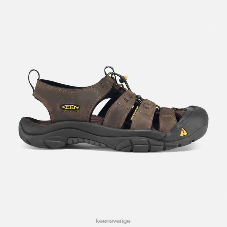 Keen newport LVJV0495 bison