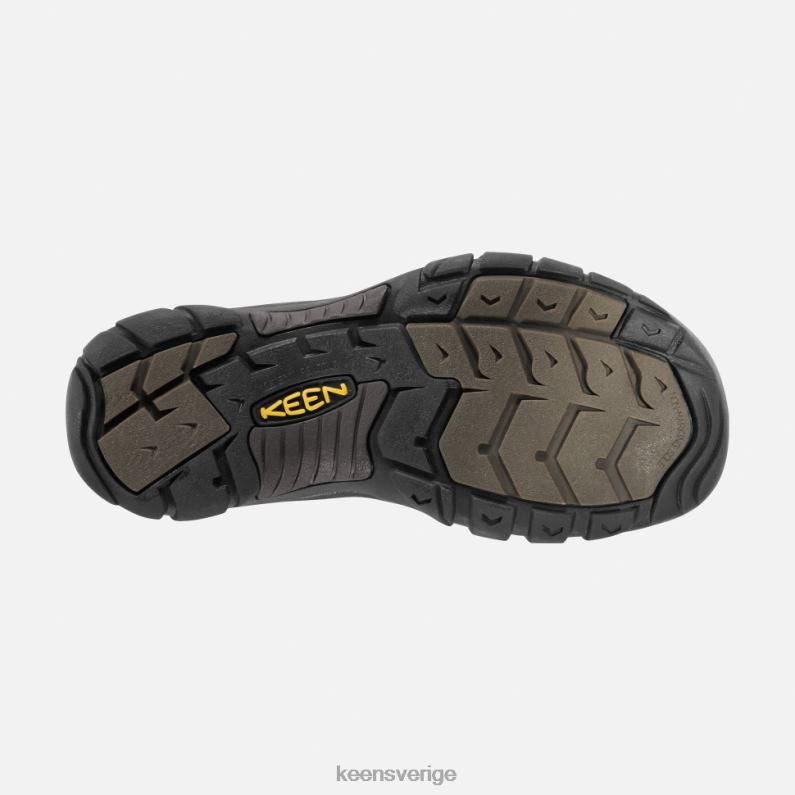 Keen newport LVJV0495 bison