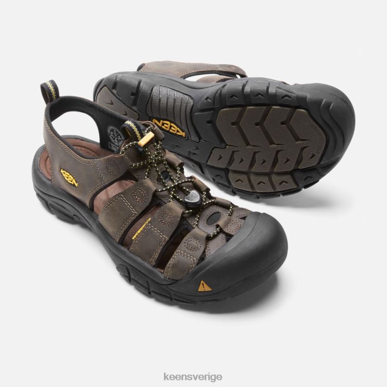 Keen newport LVJV0495 bison