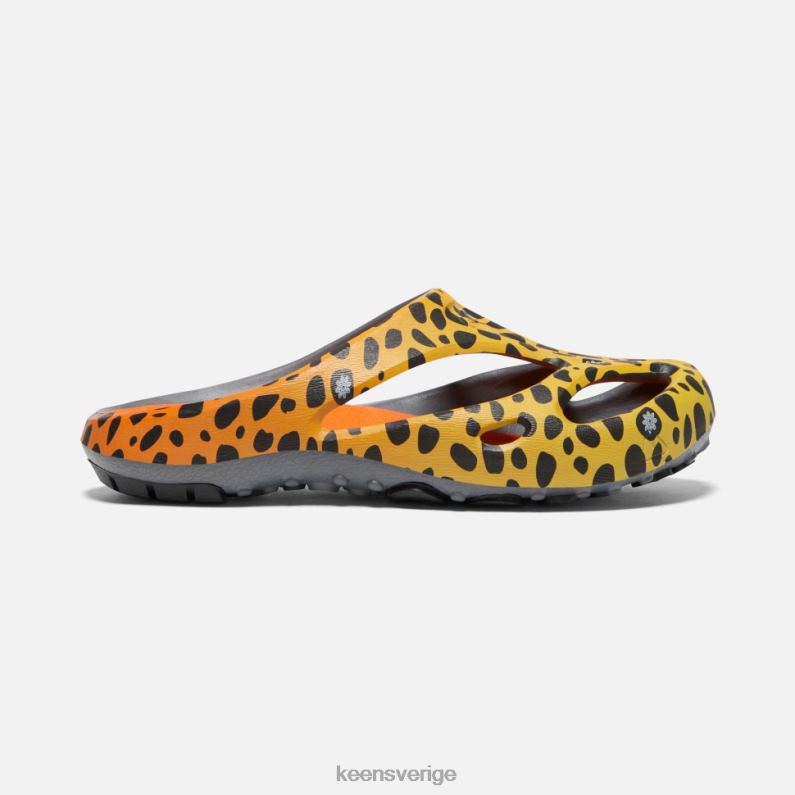 Keen shanti konst LVJV0490 thc cheetah regnbåge