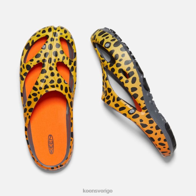 Keen shanti konst LVJV0490 thc cheetah regnbåge