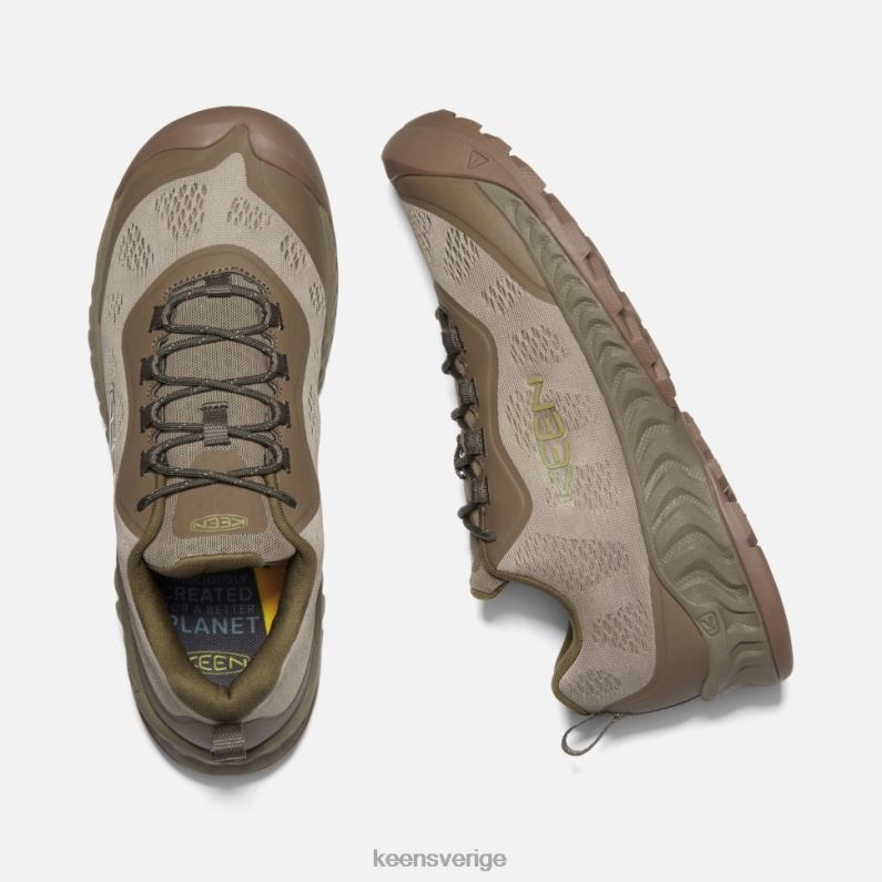 Keen nxis hastighet LVJV0396 matsal-brindle