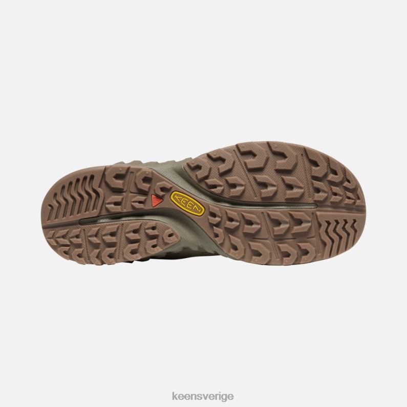 Keen nxis hastighet LVJV0396 matsal-brindle