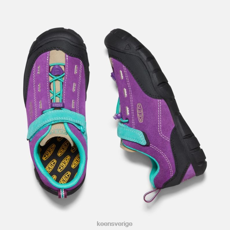 Keen äldre ' jasper ii LVJV022 karisma-atlantis