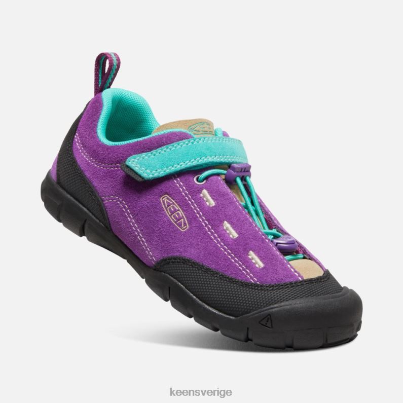 Keen äldre ' jasper ii LVJV022 karisma-atlantis