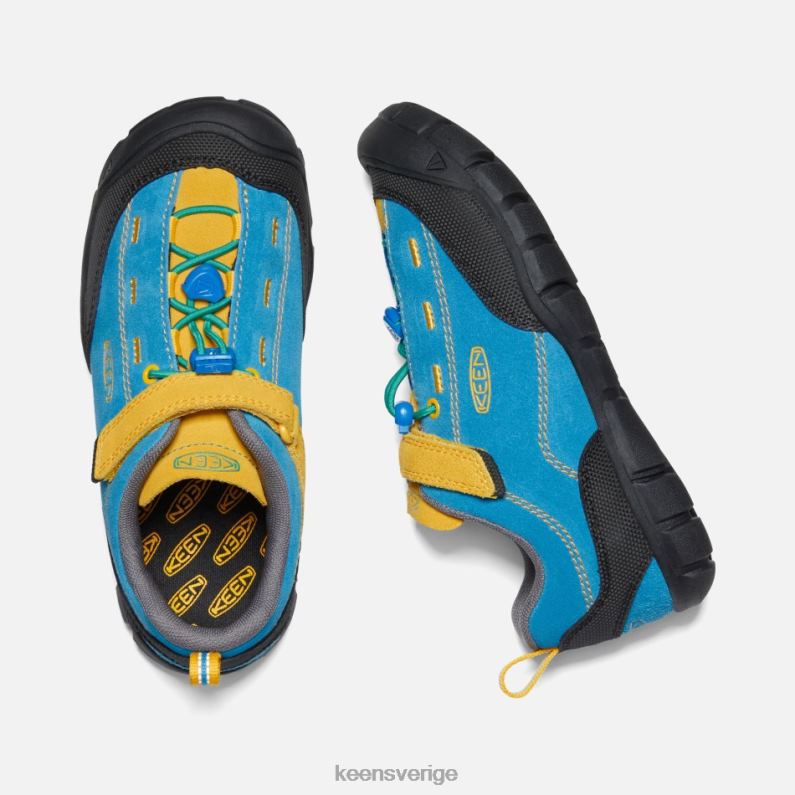 Keen äldre ' jasper ii LVJV027 lysande blågyllene spö