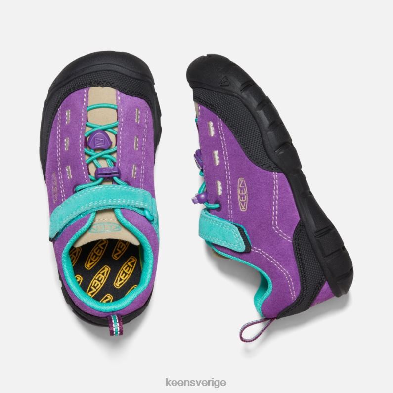 Keen yngre ' jasper ii LVJV016 karisma-atlantis