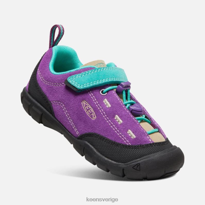 Keen yngre ' jasper ii LVJV016 karisma-atlantis