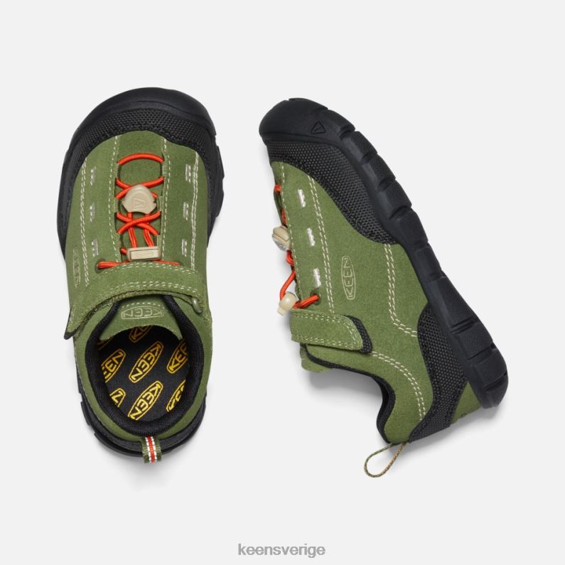 Keen yngre ' jasper ii LVJV020 kapulett olivsvart