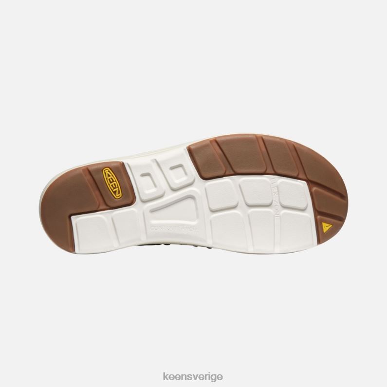 Keen uneek x garcia LVJV0244 banyanträd